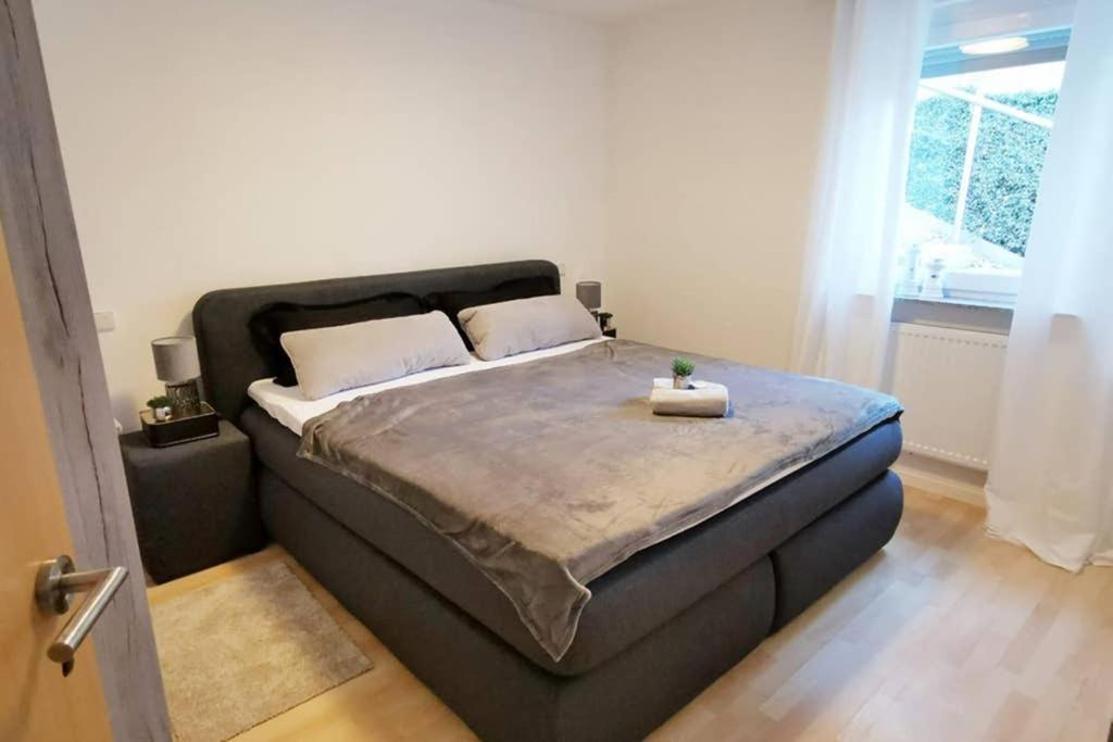Ferienwohnung Rhode Rielasingen-Worblingen Dış mekan fotoğraf