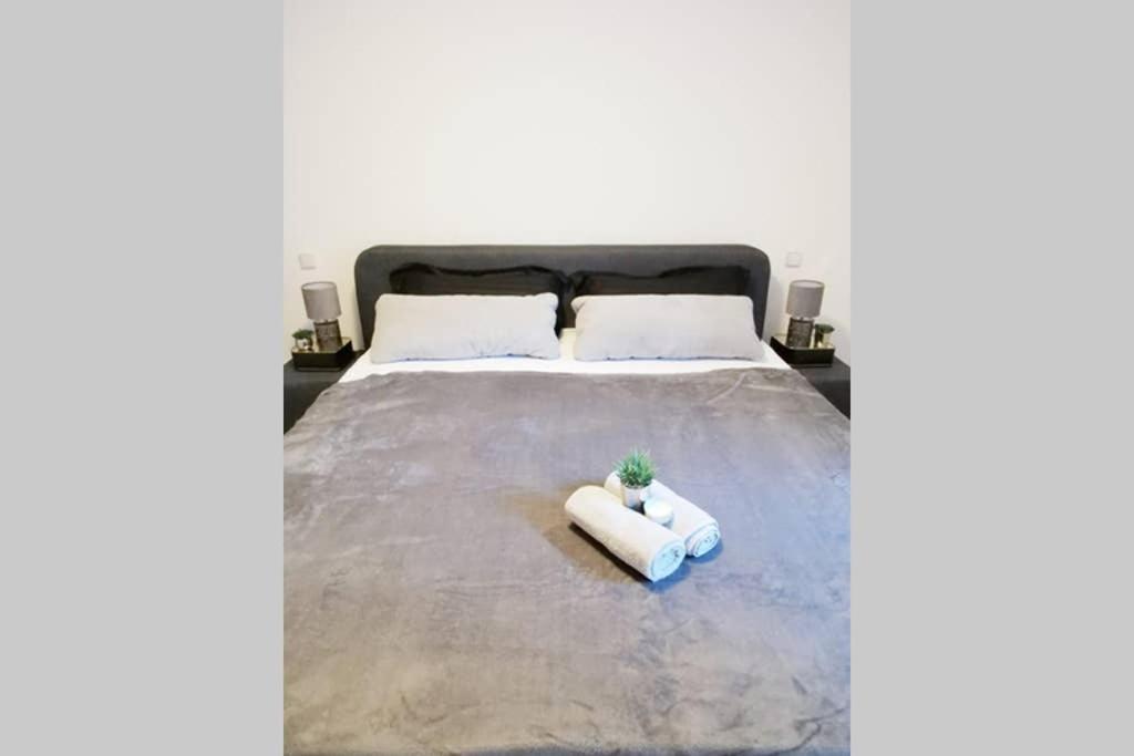 Ferienwohnung Rhode Rielasingen-Worblingen Dış mekan fotoğraf